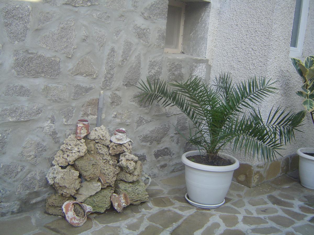 Guest House Dimovi Sozopol Extérieur photo
